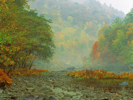 32419 (a): :1600x1200